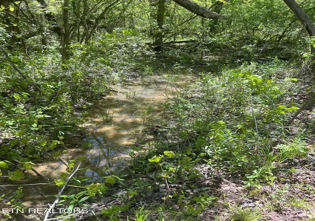 5th image of Dunn Rd, Tellico Plains, TN 37385 | MLS# 1259808