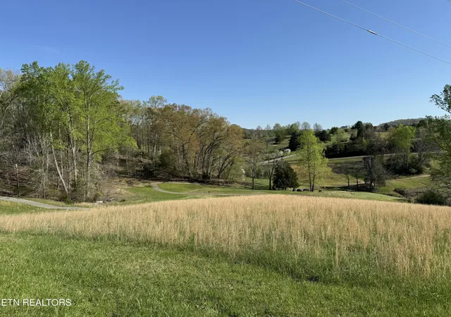 16th image of Antlers Wy, La Follette, TN 37766 | MLS# 1260064