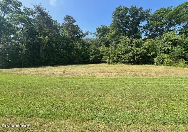 Homes for sale in Rockwood, TN | E Shore Dr, Rockwood, TN 37854 | MLS# 1260988