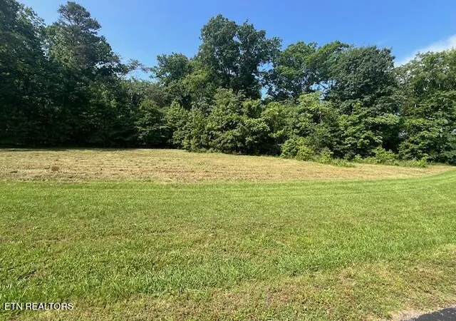 Homes for sale in Rockwood, TN | E Shore Dr, Rockwood, TN 37854 | MLS# 1260988