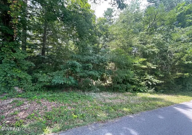 3rd image of Lot 19 Somerset Ln, Sevierville, TN 37862 | MLS# 1261714