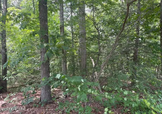 7th image of Lot 19 Somerset Ln, Sevierville, TN 37862 | MLS# 1261714