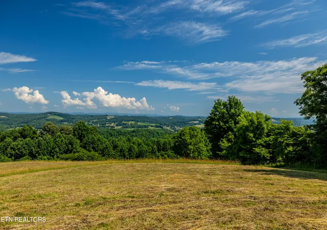 3rd image of 6485 Maynardville Hwy, Maynardville, TN 37807 | MLS# 1268034