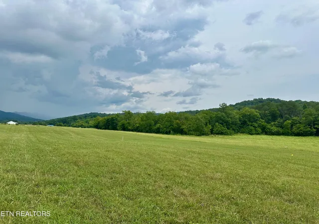 Homes for sale in Blaine, TN | Lot 7 Rutledge Pike, Blaine, TN 37709 | MLS# 1270857