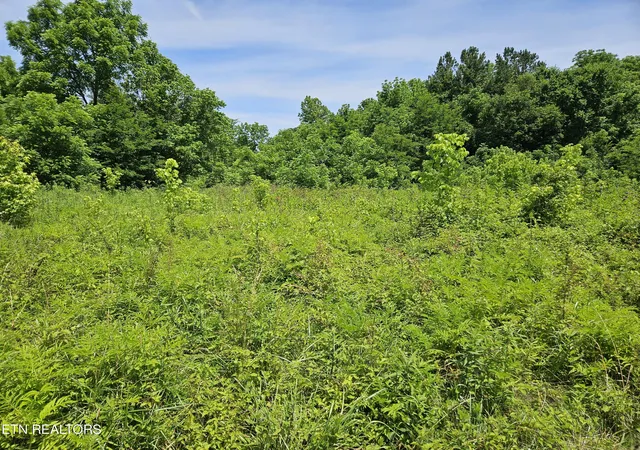 3rd image of Six Mile Rd, Maryville, TN 37803 | MLS# 1271867