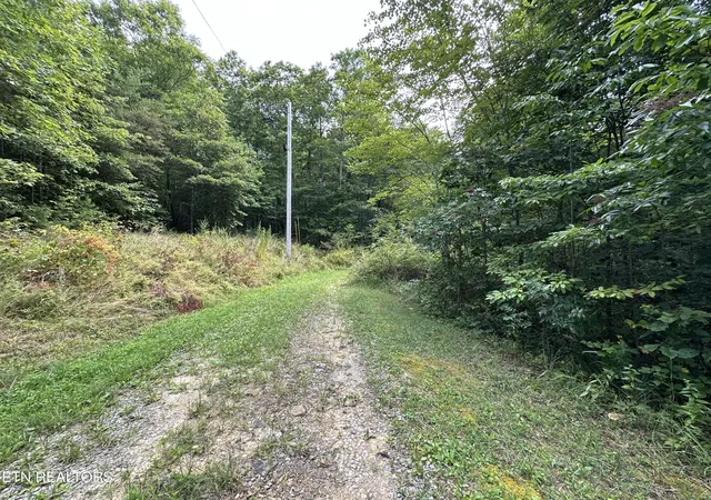 Homes for sale in Deer Lodge, TN | Anthony Rd, Deer Lodge, TN 37726 | MLS# 1274076