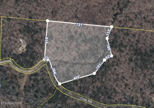 Homes for sale in Deer Lodge, TN | Anthony Rd, Deer Lodge, TN 37726 | MLS# 1274076