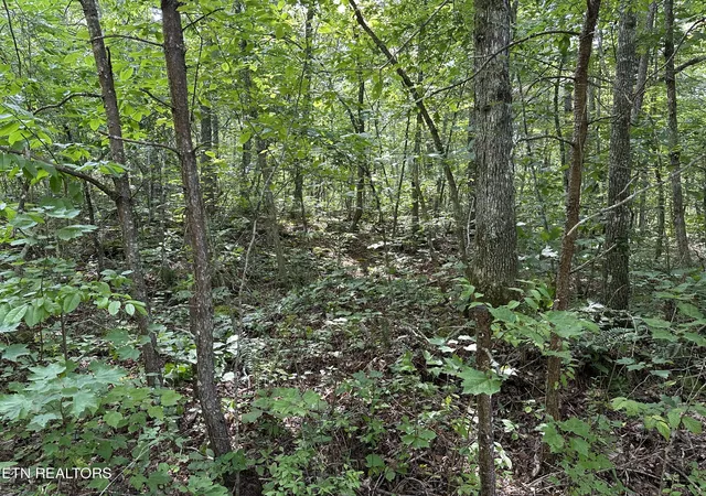 Homes for sale in Deer Lodge, TN | Anthony Rd, Deer Lodge, TN 37726 | MLS# 1274076