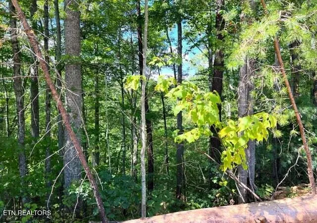 5th image of Tract 8 Faith Mtn Way, Hartford, TN 37753 | MLS# 1274938