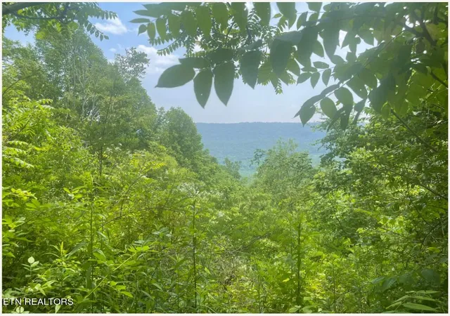 3rd image of Hatfield Creek Rd, Newcomb, TN 37819 | MLS# 1275491