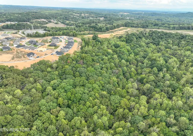 24th image of Paw Paw Plains, 234 Acres Rd, Lenoir City, TN 37771 | MLS# 1277889