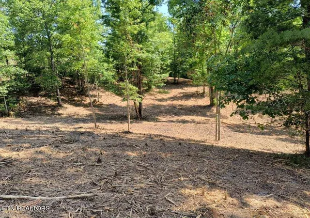 Photo 3 of Land for sale at Ashe Cabin Holw Rd, Harriman, TN 37748 | MLS# 1276690 | Listing updated on 2026-09-16