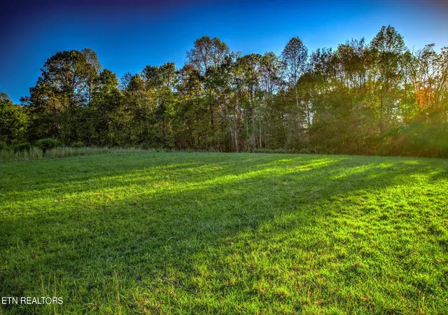 Homes for sale in Andersonville, TN | Ridge Circle Rd, Andersonville, TN 37705 | MLS# 1280025