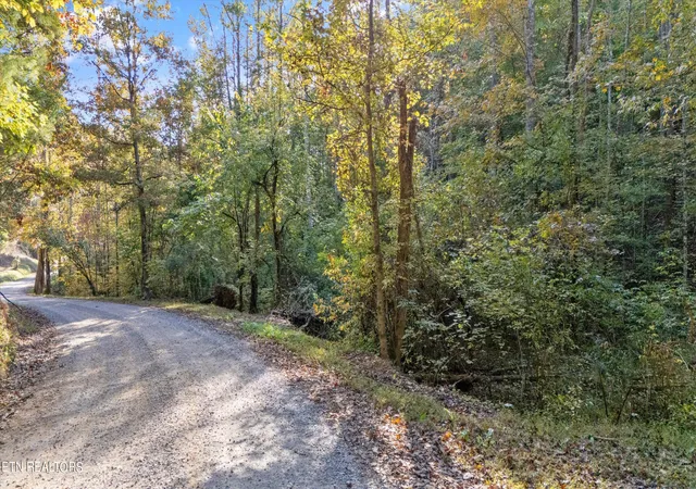 3rd image of Sulpher Springs Way, Sevierville, TN 37862 | MLS# 1280694