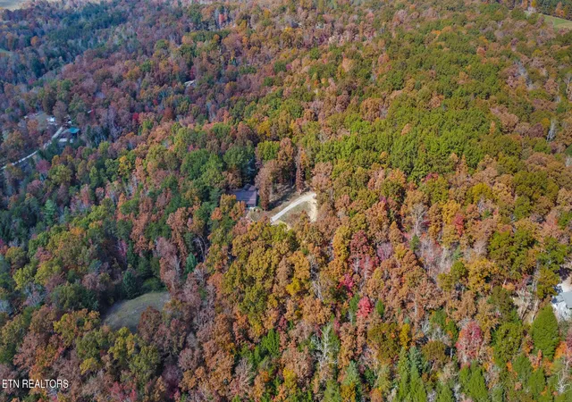 52nd image of 1292 Terry Ln, Jamestown, TN 38556 | MLS# 1280876