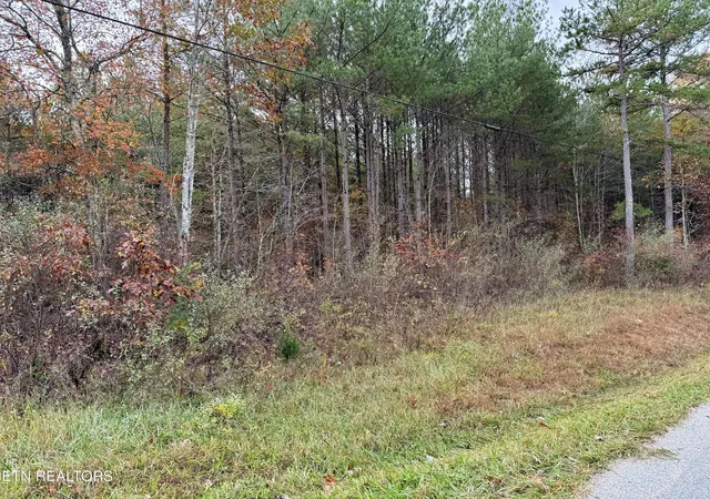 Homes for sale in Rockwood, TN | Airport Rd Lot 4, Rockwood, TN 37854 | MLS# 1281338