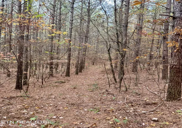 Homes for sale in Rockwood, TN | Airport Rd Lot 10, Rockwood, TN 37854 | MLS# 1281347