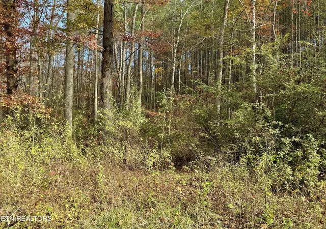 Homes for sale in Rockwood, TN | Lower Rockwood Rd Lot 15, Rockwood, TN 37854 | MLS# 1281349
