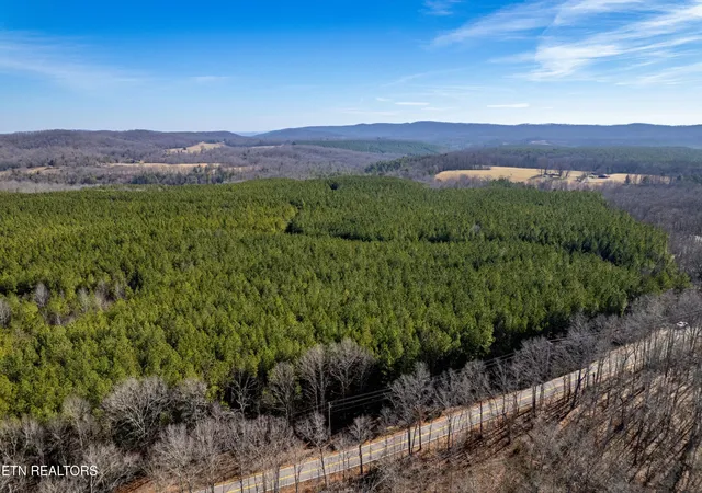 Homes for sale in Rockwood, TN | Lower Rockwood Rd Lot 15, Rockwood, TN 37854 | MLS# 1281349