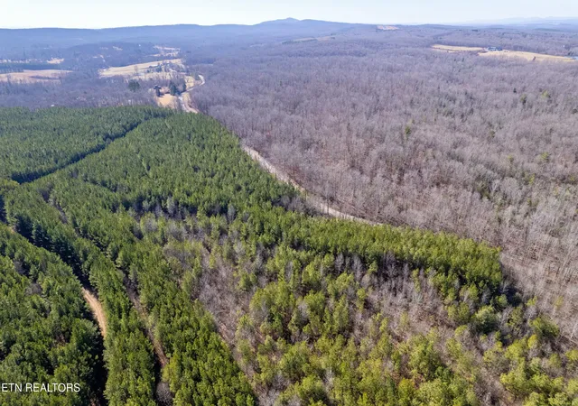 Homes for sale in Rockwood, TN | Lower Rockwood Rd Lot 16, Rockwood, TN 37854 | MLS# 1281352