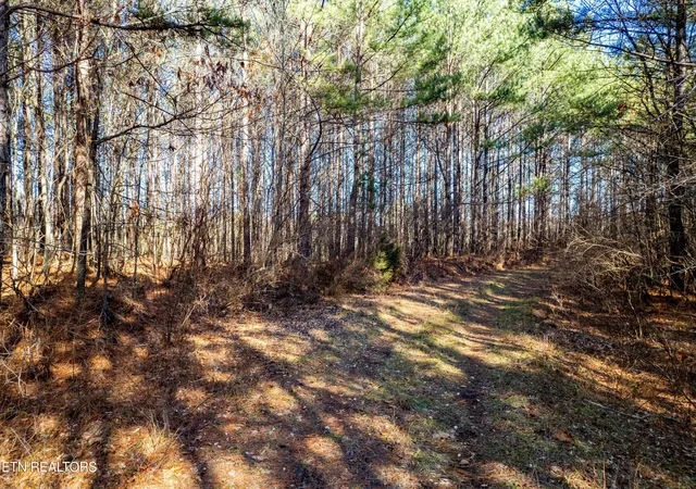 Homes for sale in Rockwood, TN | Lower Rockwood Rd Lot 16, Rockwood, TN 37854 | MLS# 1281352