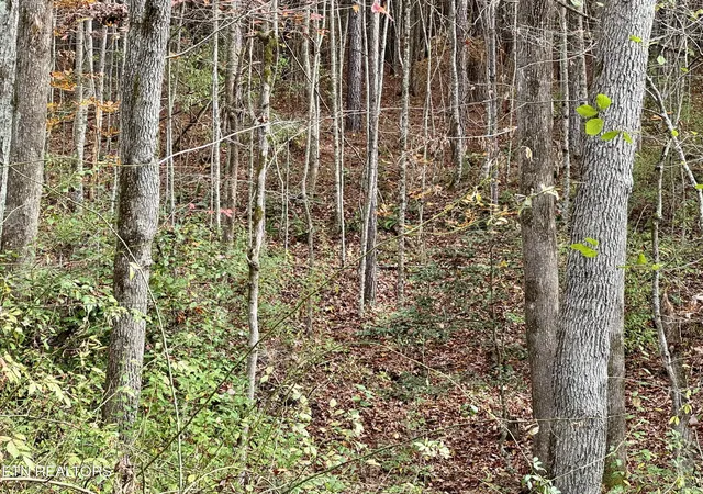 Homes for sale in Rockwood, TN | Lower Rockwood Rd Lot 19, Rockwood, TN 37854 | MLS# 1281355