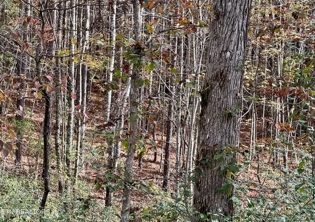 Homes for sale in Rockwood, TN | Lower Rockwood Rd Lot 22, Rockwood, TN 37854 | MLS# 1281358