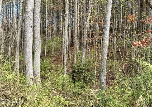 Homes for sale in Rockwood, TN | Lower Rockwood Rd Lot 22, Rockwood, TN 37854 | MLS# 1281358