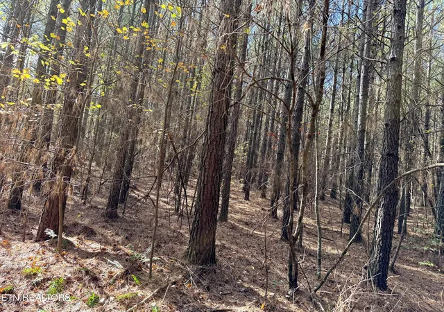 Homes for sale in Rockwood, TN | Lower Rockwood Rd Lot 23, Rockwood, TN 37854 | MLS# 1281359