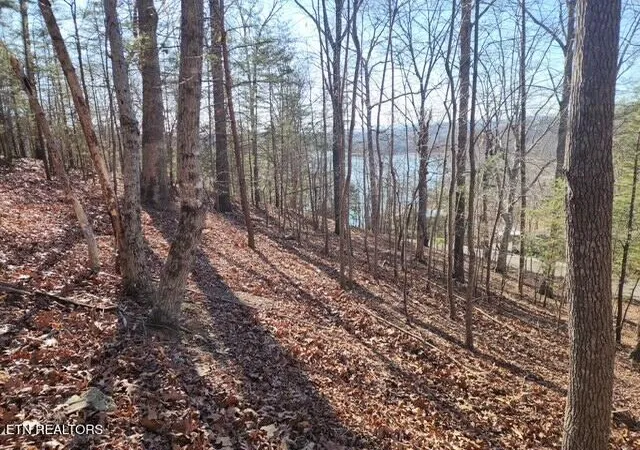 Photo 1 of Land for sale at Deer Pond Cir, La Follette, TN 37766 | MLS# 1281466 | Listing updated on 2025-12-30