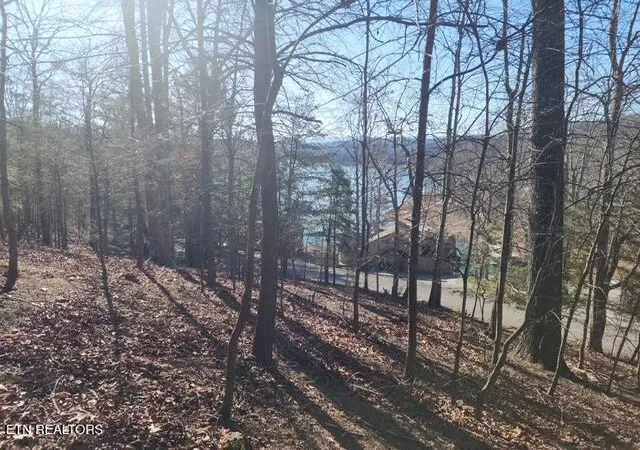 Photo 3 of Land for sale at Deer Pond Cir, La Follette, TN 37766 | MLS# 1281466 | Listing updated on 2025-12-30