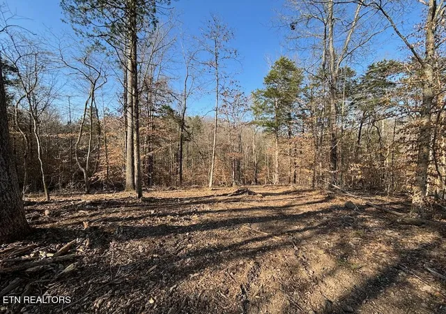 Photo 2 of Land for sale at Dogwood Valley Rd | Lot 3, Kingston, TN 37763 | MLS# 1281845 | Listing updated on 2026-06-19