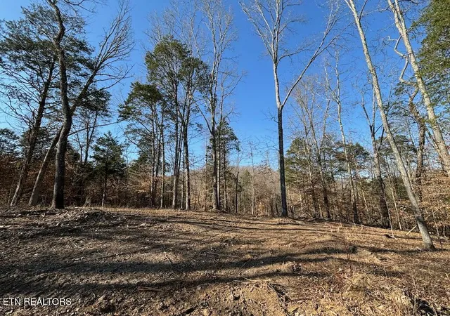 Photo 3 of Land for sale at Dogwood Valley Rd | Lot 3, Kingston, TN 37763 | MLS# 1281845 | Listing updated on 2026-06-19
