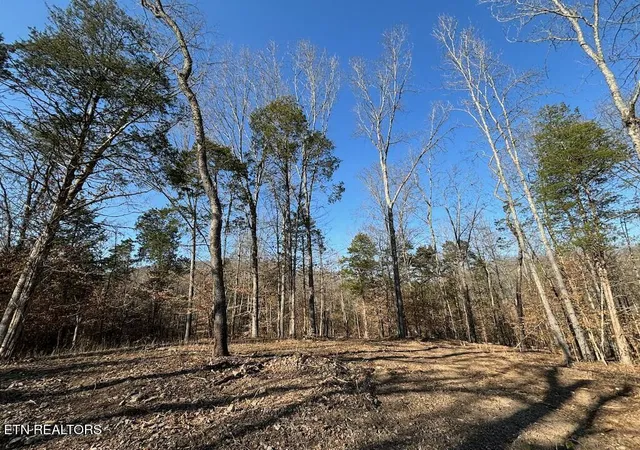 Photo 3 of Land for sale at Dogwood Valley Rd | Lot 3, Kingston, TN 37763 | MLS# 1281845 | Listing updated on 2026-06-19