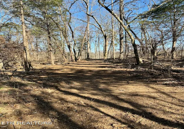 Photo 4 of Land for sale at Dogwood Valley Rd | Lot 3, Kingston, TN 37763 | MLS# 1281845 | Listing updated on 2026-06-19