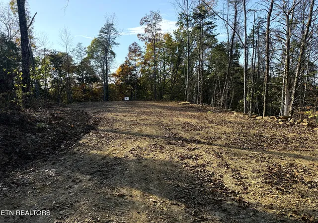 3rd image of Tract 4 Topaz Way, Parrottsville, TN 37843 | MLS# 1282027