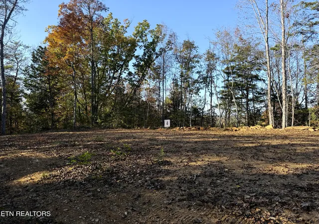 4th image of Tract 4 Topaz Way, Parrottsville, TN 37843 | MLS# 1282027