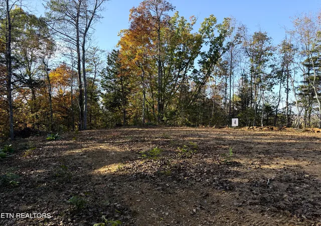 5th image of Tract 4 Topaz Way, Parrottsville, TN 37843 | MLS# 1282027
