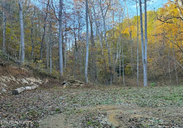 3rd image of Tract 7 Topaz Way, Parrottsville, TN 37843 | MLS# 1282096