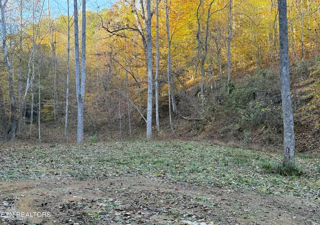 4th image of Tract 7 Topaz Way, Parrottsville, TN 37843 | MLS# 1282096