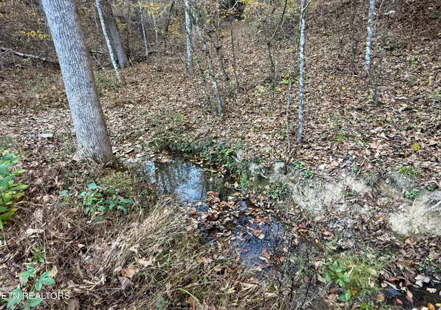 5th image of Tract 7 Topaz Way, Parrottsville, TN 37843 | MLS# 1282096
