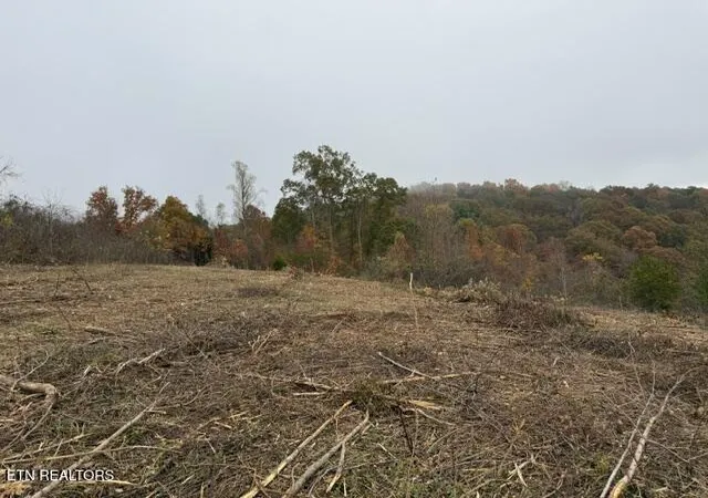 Homes for sale in La Follette, TN | Lot #64 Pinnacle Ln, La Follette, TN 37766 | MLS# 1283406