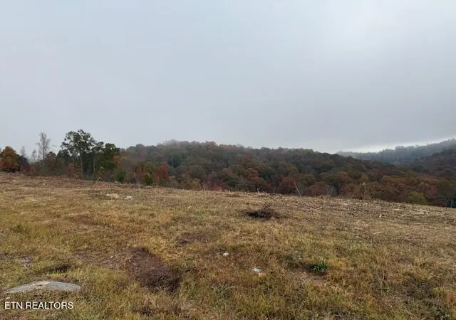 Photo 3 of Land for sale at Lot #65 Pinnacle Ln, La Follette, TN 37766 | MLS# 1283412 | Listing updated on 2025-11-03