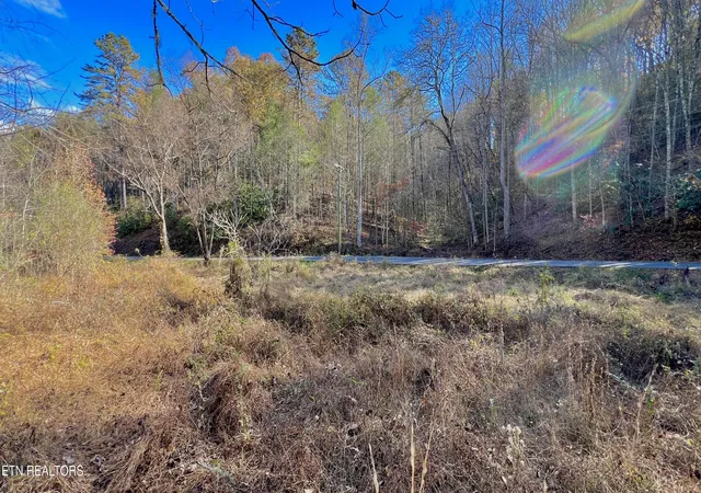41st image of 8 Lots Grassy Branch Loop, Sevierville, TN 37876 | MLS# 1283693