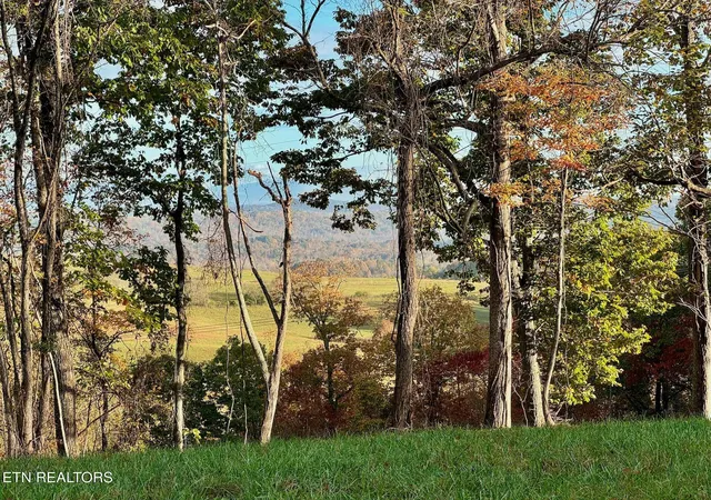 11th image of Somerset Estates | Homesite 4, Lenoir City, TN 37771 | MLS# 1289808
