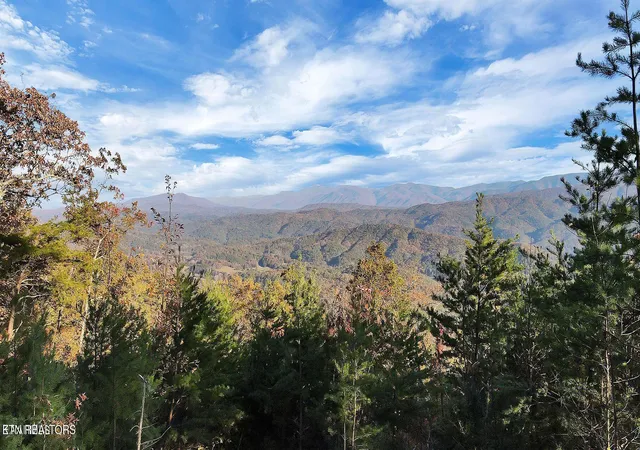 Photo 4 of Land for sale at Tract 29r3 Chilhowee Mountain Tr, Maryville, TN 37803 | MLS# 1283903 | Listing updated on 2025-11-25