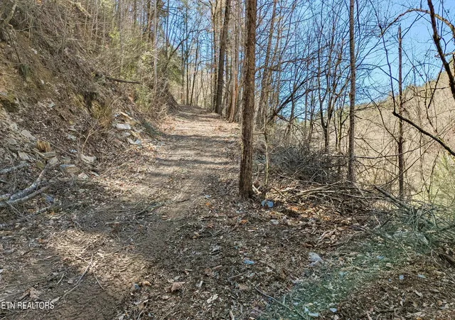 14th image of Carrs Creek Rd, Townsend, TN 37882 | MLS# 1284683