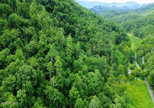 2nd image of Carrs Creek Rd, Townsend, TN 37882 | MLS# 1284683