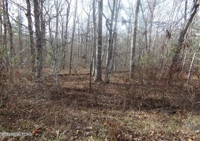Photo 1 of Land for sale at 2142 Ona Rd, Crossville, TN 38572 | MLS# 1284710 | Listing updated on 2025-12-10