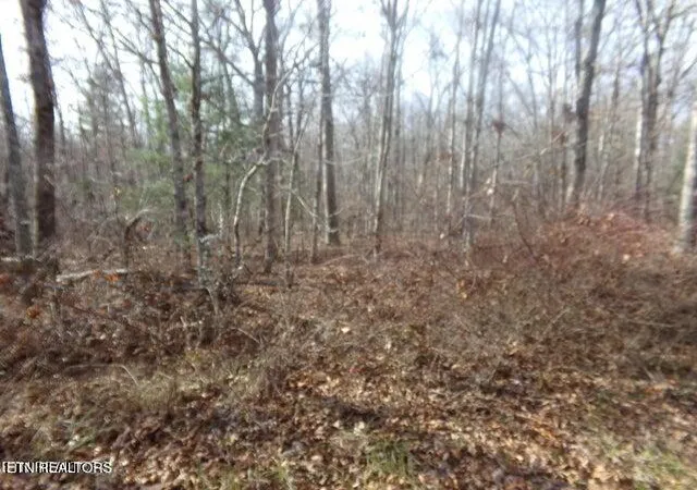 Photo 2 of Land for sale at 2142 Ona Rd, Crossville, TN 38572 | MLS# 1284710 | Listing updated on 2025-12-10